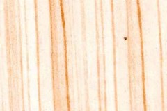 HW-12-5