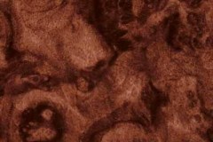 HW-19-1